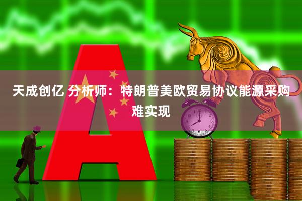 天成创亿 分析师:特朗普美欧贸易协议能源采购难实现