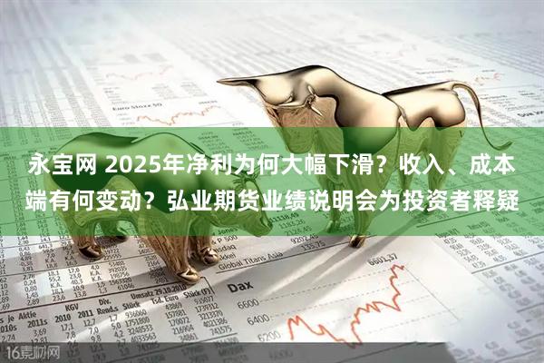 永宝网 2025年净利为何大幅下滑?收入、成本端有何变动?弘业期货业绩说明会为投资者释疑
