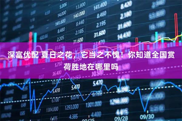 深富优配 夏日之花，它当之不愧！你知道全国赏荷胜地在哪里吗