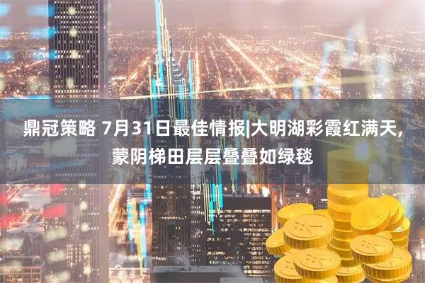 鼎冠策略 7月31日最佳情报|大明湖彩霞红满天,蒙阴梯田层层叠叠如绿毯