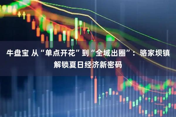 牛盘宝 从“单点开花”到“全域出圈”：骆家坝镇解锁夏日经济新密码